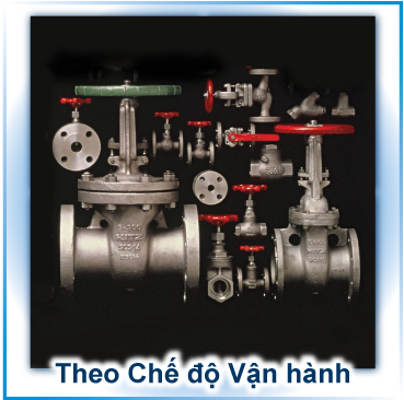 Câu chuyện Thương hiệu KITZ